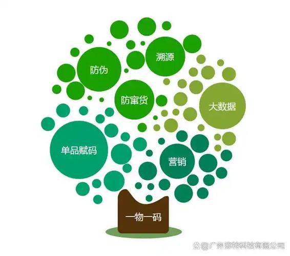 西安软件外包服务指南 如何选择靠谱的软件开发伙伴